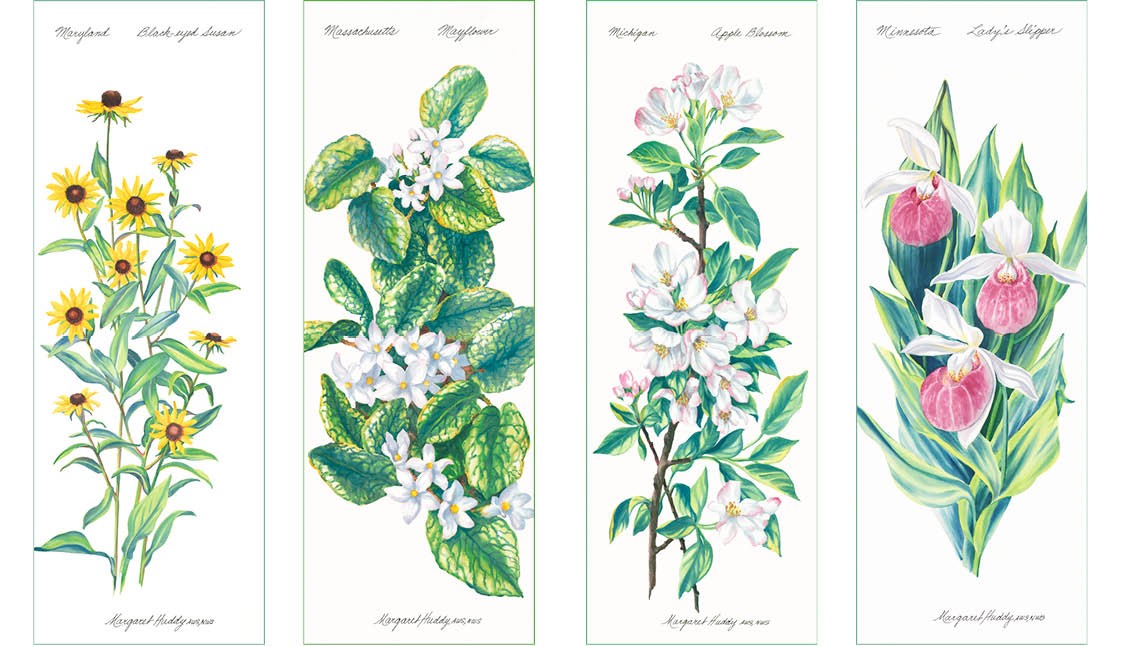 Maryland, Massachusetts, Michigan, and Minnasota State Flowers